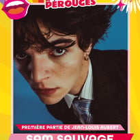 Sam Sauvage, Jean-Louis Aubert