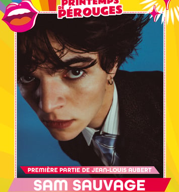 Sam Sauvage, Jean-Louis Aubert