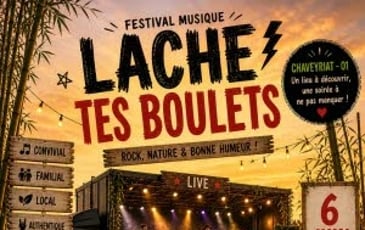 Lache tes boulets