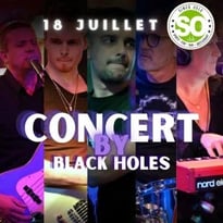 Black Holes