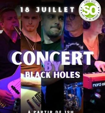 Black Holes