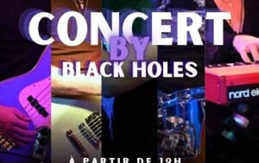 Black Holes