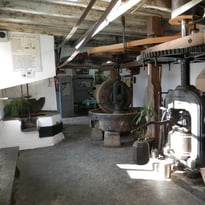 Fabrication huiles de noix et noisettes