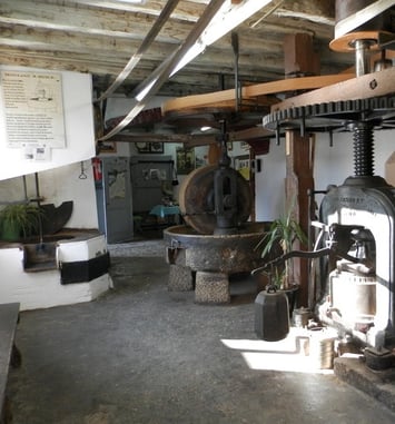 Fabrication huiles de noix et noisettes