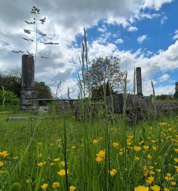 Visite guidée : Les vestiges du temple