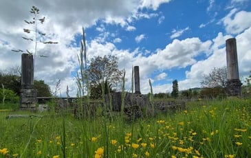 Visite guidée : Les vestiges du temple