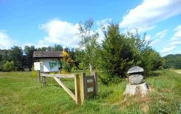 Visite guidée de l'arboretum