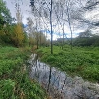 Balade du Petit Gardon