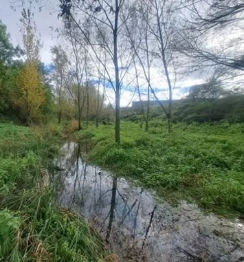 Balade du Petit Gardon