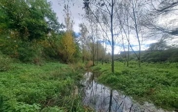 Balade du Petit Gardon