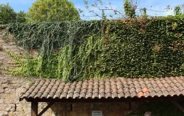 Randonnée patrimoniale de Reyrieux à Parcieux
