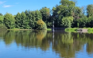 Sculpture géante sur le plan d'eau de Frans