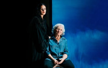 Gisèle Halimi  Une farouche liberté