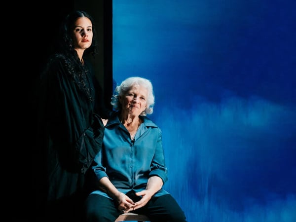 Gisèle Halimi  Une farouche liberté