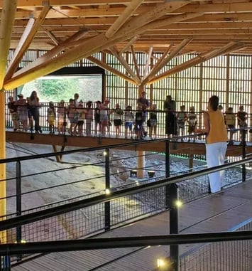 Visites guidées à Dinoplagne