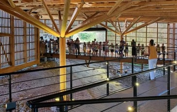 Visites guidées à Dinoplagne