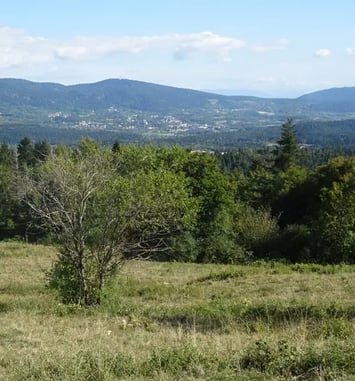 Visite accompagnée du site castral de Corcelles