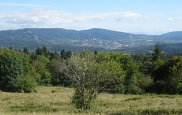 Visite accompagnée du site castral de Corcelles