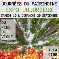 Du pied de vigne à la cime des arbres