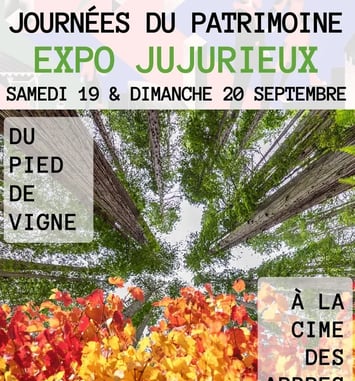 Du pied de vigne à la cime des arbres