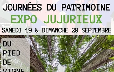 Du pied de vigne à la cime des arbres