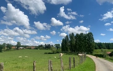 Visite commentée