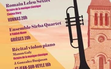 Les soirées musicales en Veyle