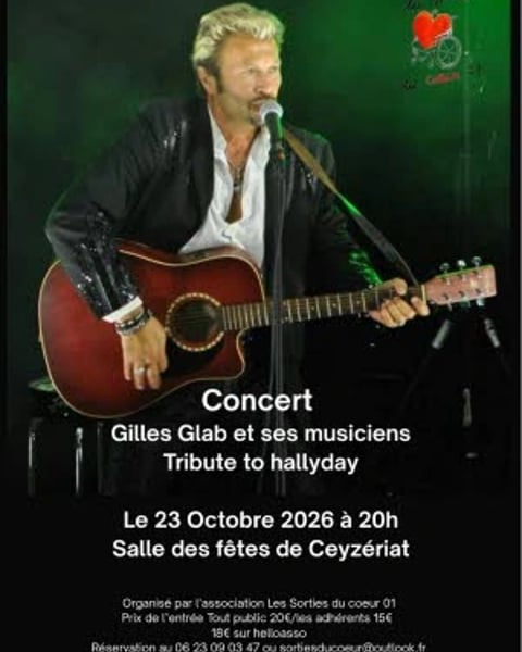 Tribute to Hallyday