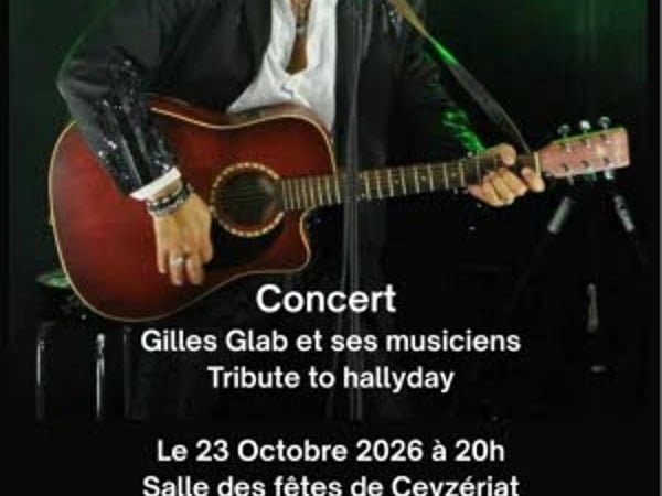 Tribute to Hallyday